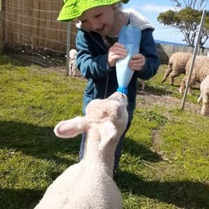 Meet your Posher, Karin